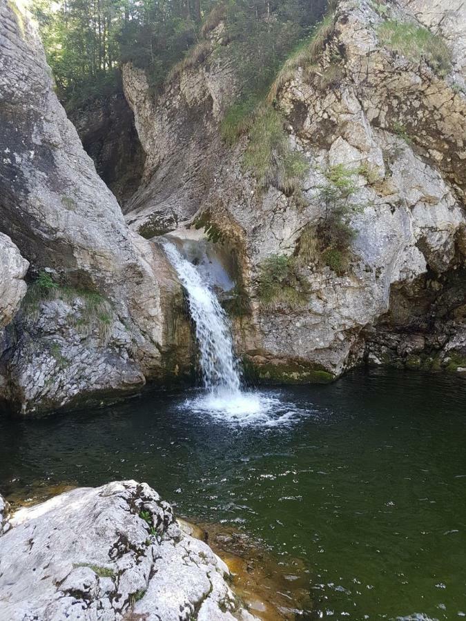 Ferienwohnung Unterduermoos Annaberg im Lammertal Buitenkant foto